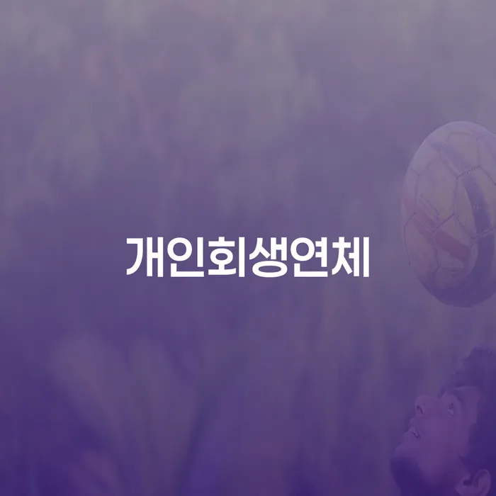 개인회생과정 개인회생으로 현명하게 어떤걸