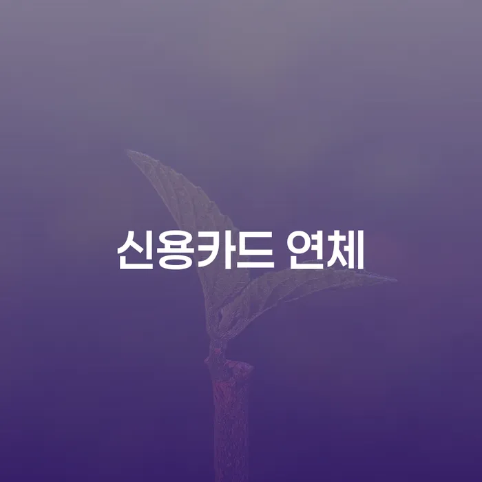 개인회생 후기 신용회복 경험 많은 곳에서