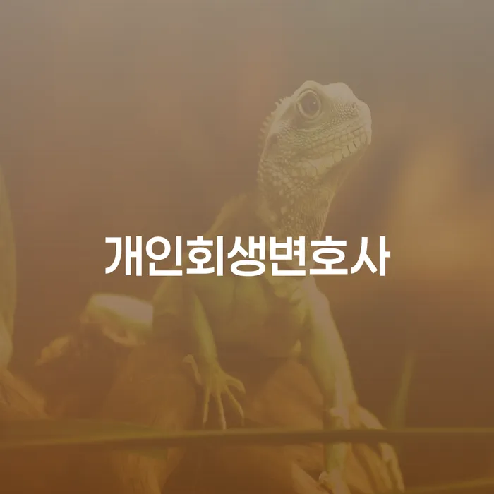 의사파산 빚독촉 체크해보세요